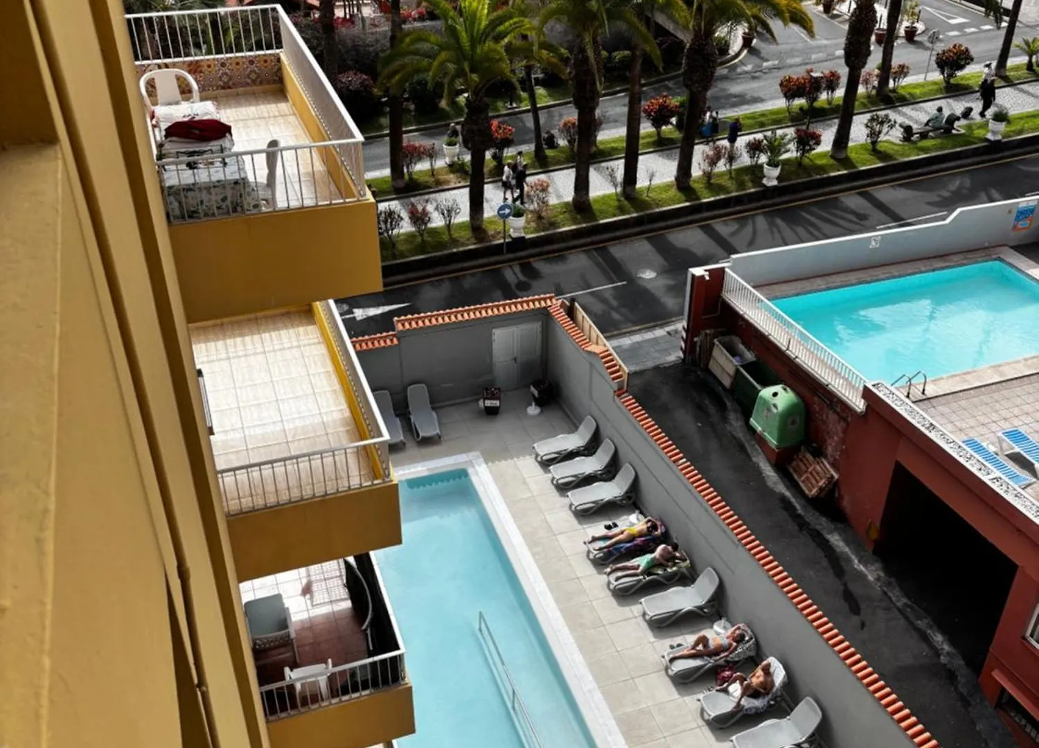 Apartamento Palmeras Puerto de la Cruz  Apartment