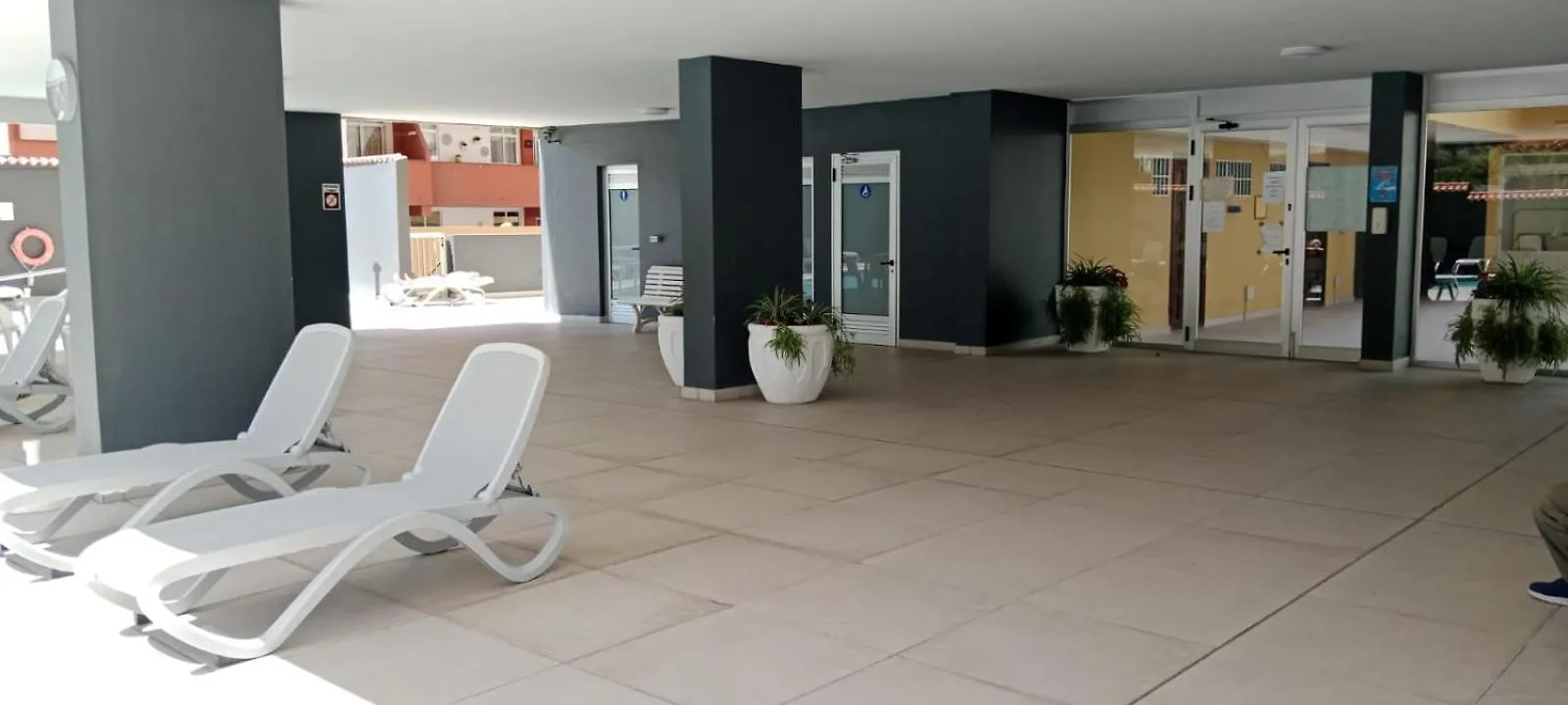 Apartamento Palmeras Puerto de la Cruz  Spain